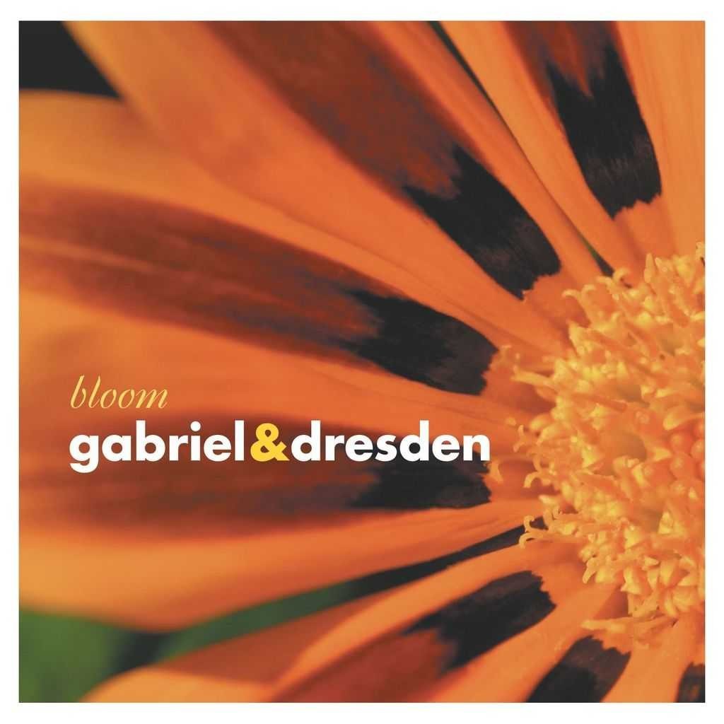 Gabriel and Dresden Bloom cover with an orange flower